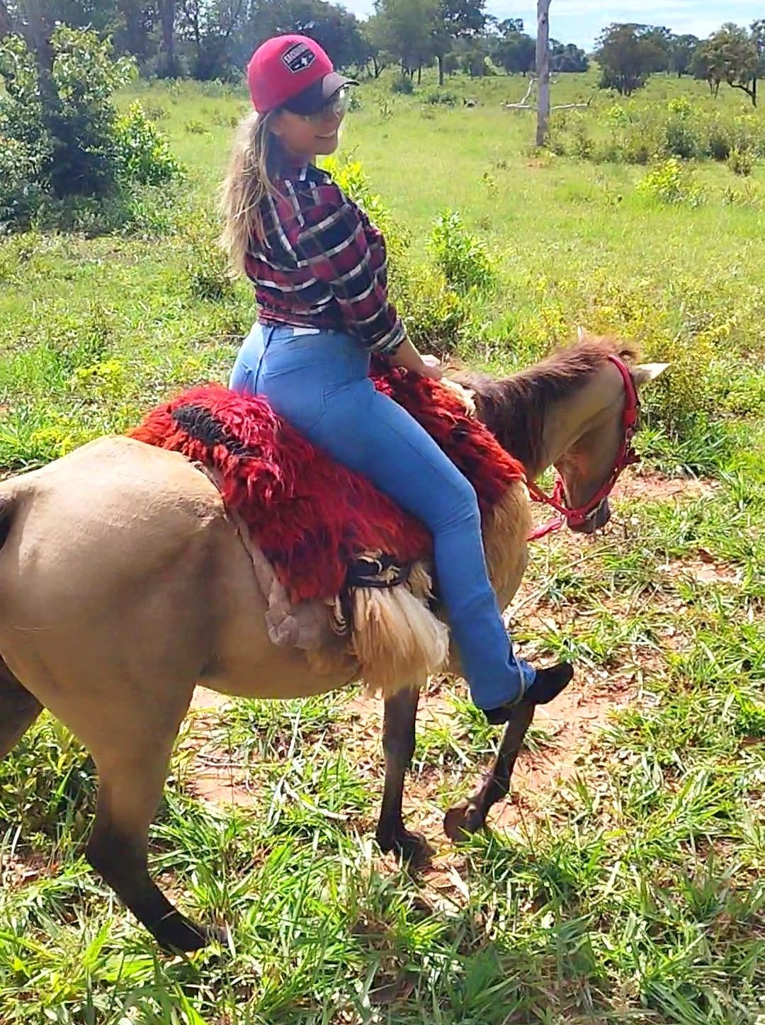 campo